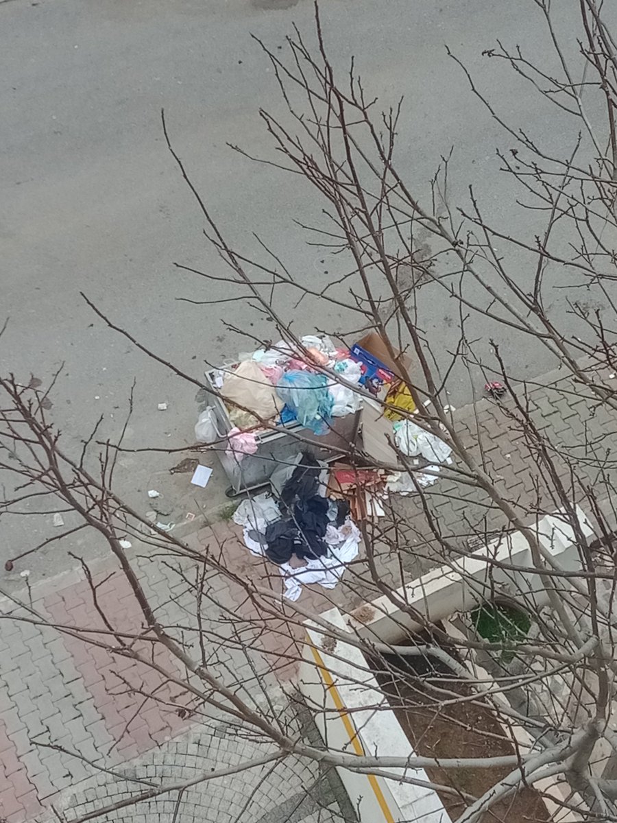 alprglr21's tweet photo. Cevizli mahallesi sema sokaktaki çöpleri toplamayı düşünmüyor musunuz acaba ? @MaltepeBelTr https://t.co/h76UQ2bHKR
