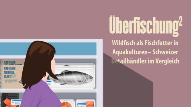 Act4AnimalsEU's tweet image. 🐟New report launched by @ChangingMarkets &amp;amp; @OceanCare today:

🚫Revealing that #Swiss retailers including #denner, @migros &amp;amp; #lidlschweiz are failing to protect oceans and safeguard #fish welfare in their farmed fish supply chains.

Read the report here➡️bit.ly/2ZKYyH9