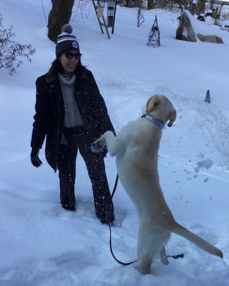 WMGA1899's tweet photo. Catching snowballs is difficult #wmga #showusyourswag https://t.co/w1wLCiWfB5