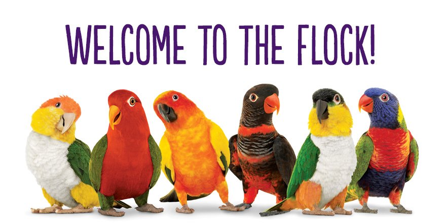 Be the first to get every new deal at TELUS! Sign up and we'll send you our best deals on #smartphones, plans and tech right to your inbox. Get started now: ow.ly/nJLU30rxBTK