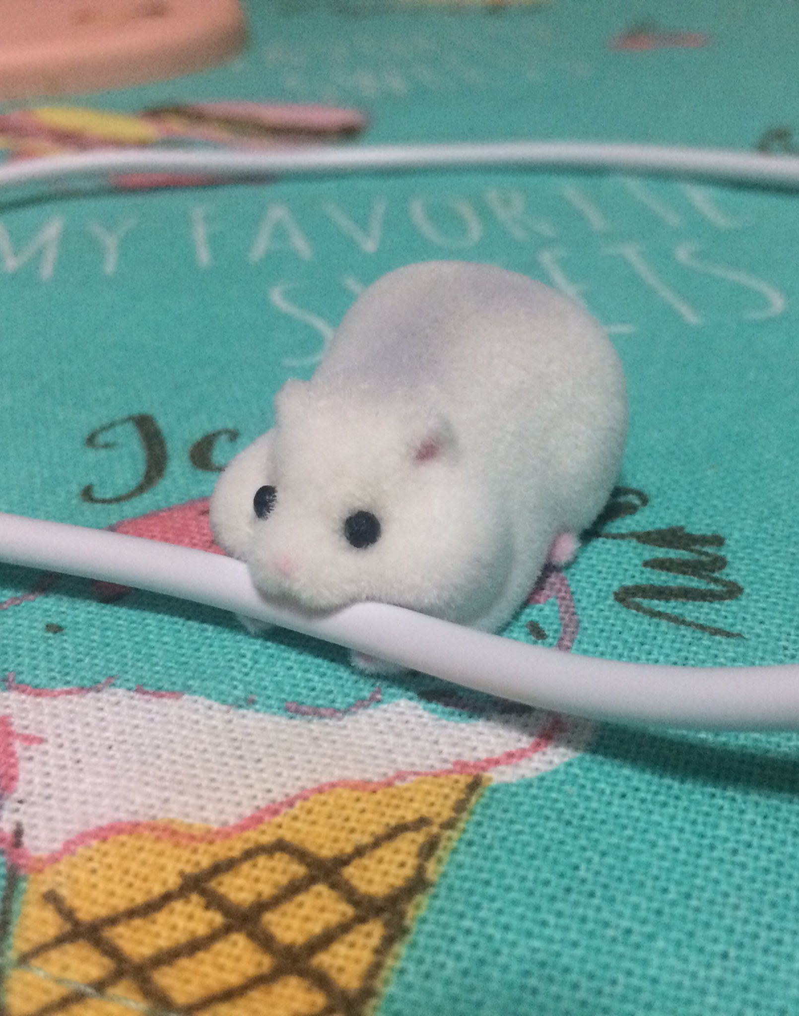 りなりな ところでこのケーブルかじかじハムスター最高にかわいいです