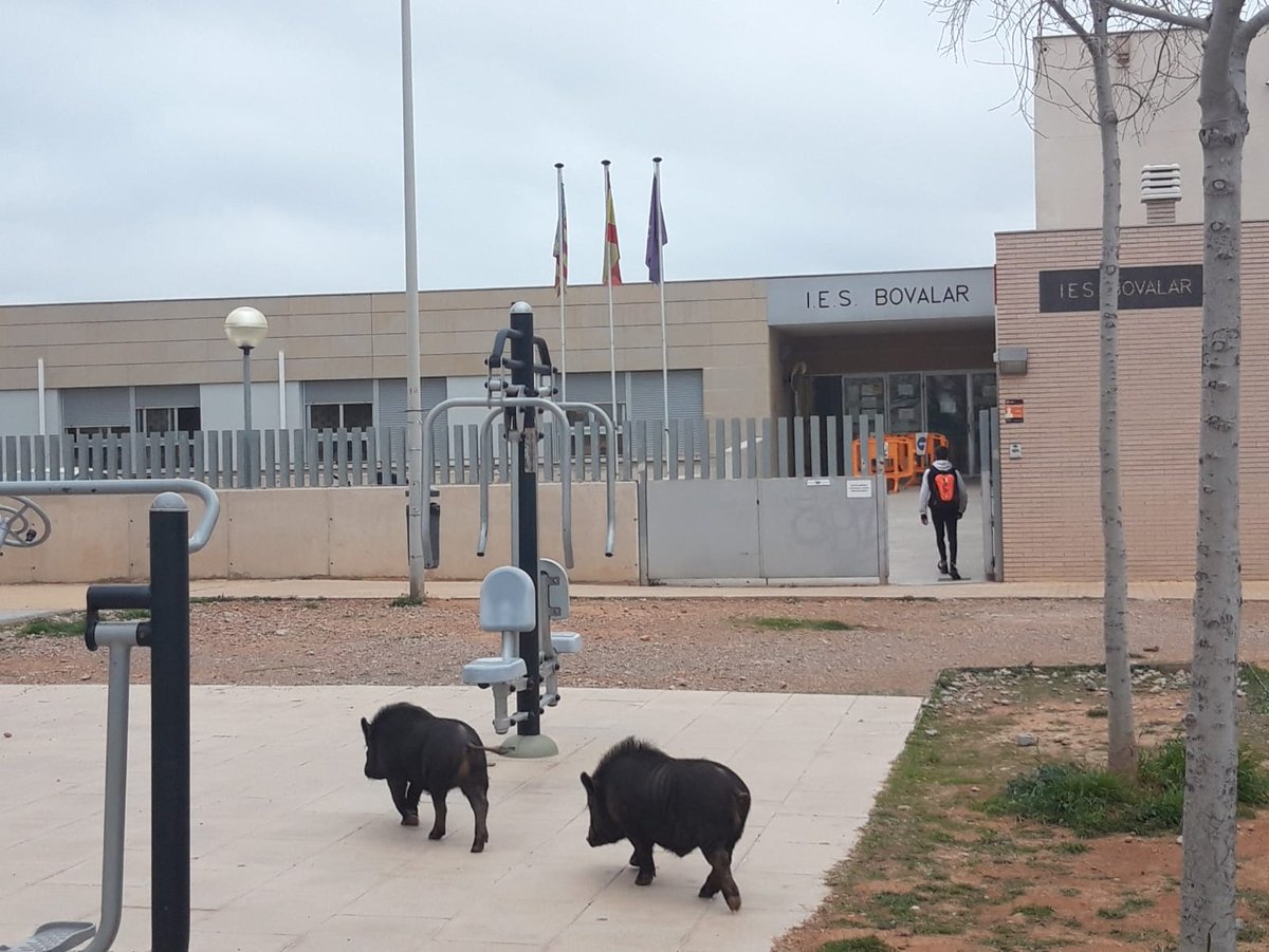 tonisolano's tweet photo. -¿Y dices que ya han empezado a vacunar a los docentes?
-Se ve que sí.
-Pero, no estarán usando restos o mezclas de otras vacunas, ¿no?
-Hombre, no creo... Mira, por ahí llegan Emilio y Maruja, que se vacunaron el lunes... https://t.co/yxTb44EeGx
