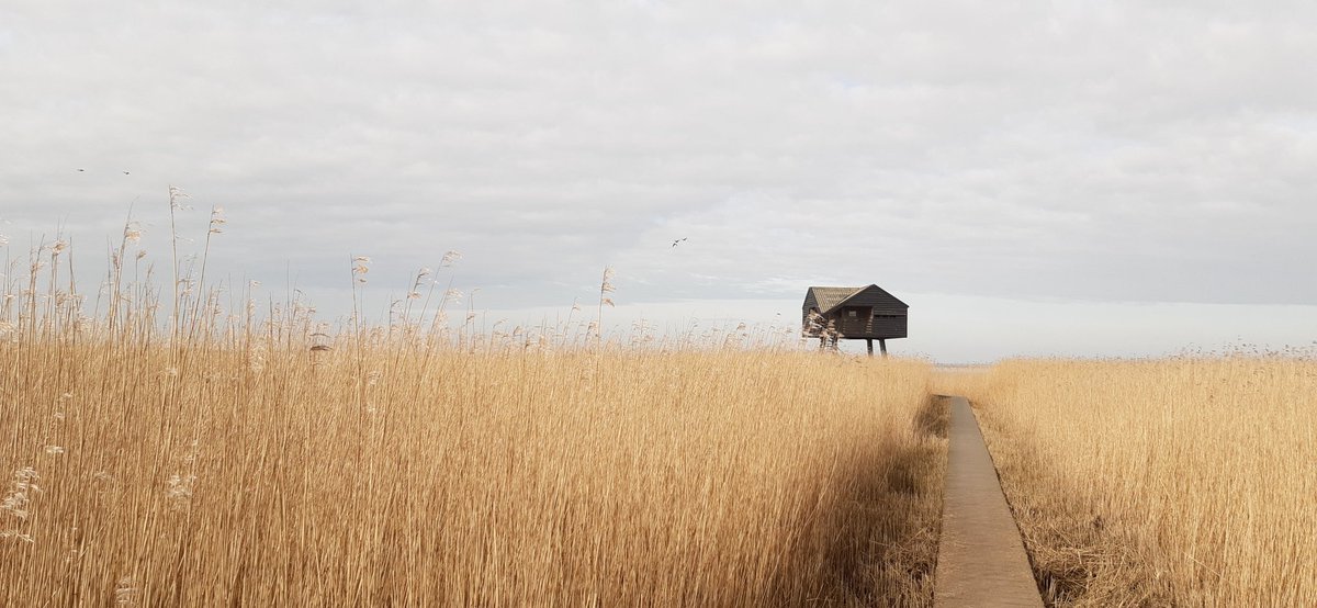 AngelMeul's tweet photo. Prachtig gebied de Dollard, vanmorgen naar de #kiekkaaste gewandeld. Wat een uitzicht en weidsheid, ik hou ervan.
Met dank aan het @GR_Landschap 
#dollard #kwelders #polders https://t.co/6qQSsfEchz