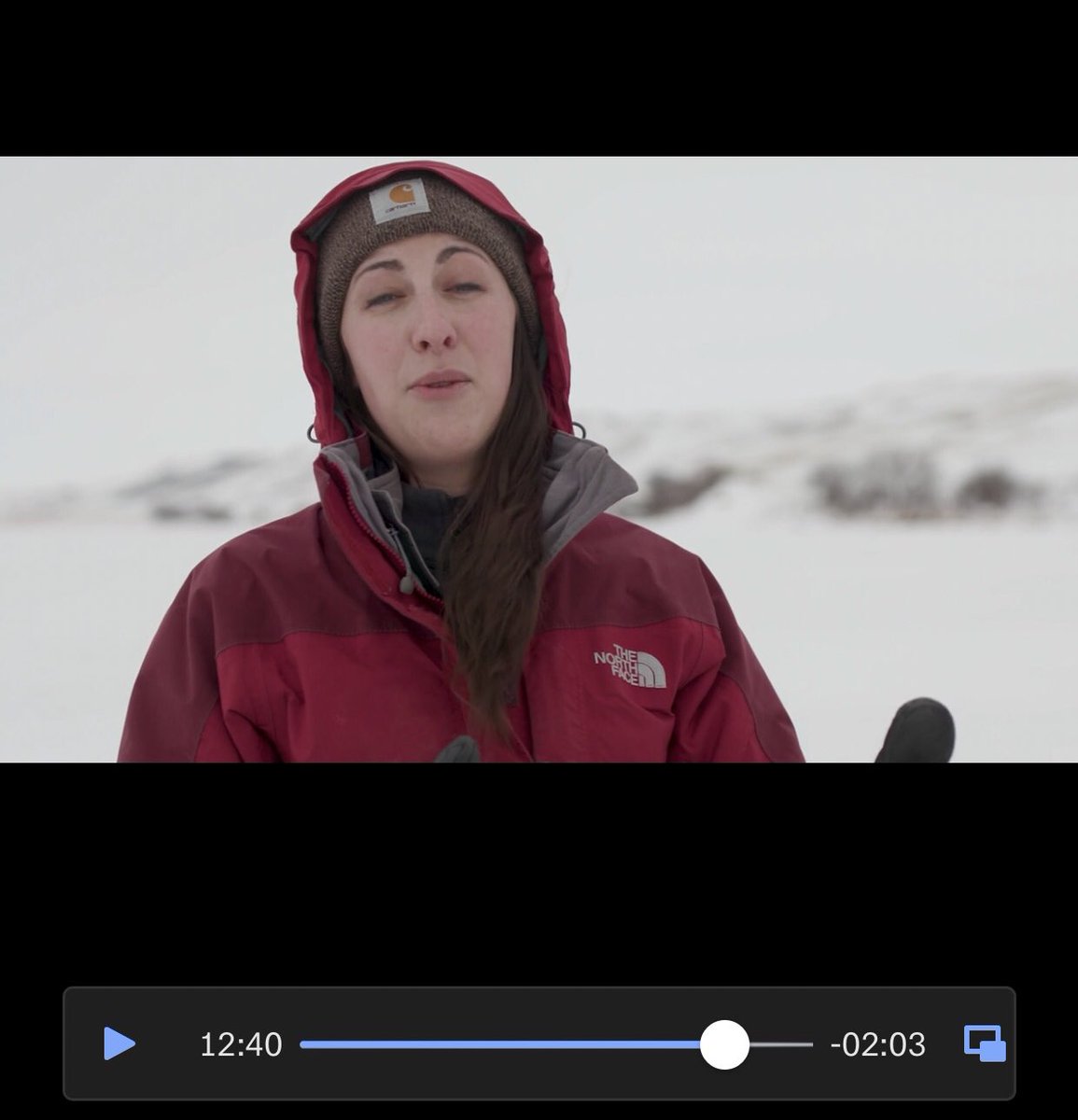 Ecology_Foley's tweet image. I picked the worst freeze frame of myself... but link to a short 15 min, amazing quality video to our lab’s research on #freshwater #sportfish research and #invasivefish. 
@UofRegina @UofRScience 

youtu.be/gLwvZeIDOjM

#AcademicChatter #ECR #teamfresh