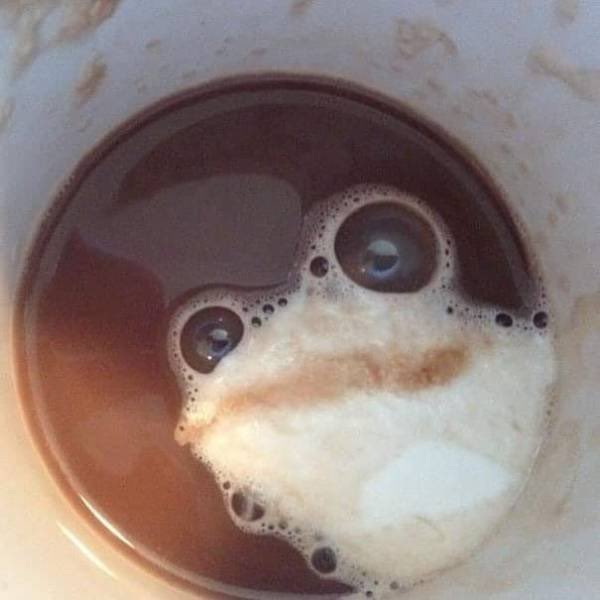 J_Motoki's tweet photo. #coffeetime https://t.co/jgz06SW5eR