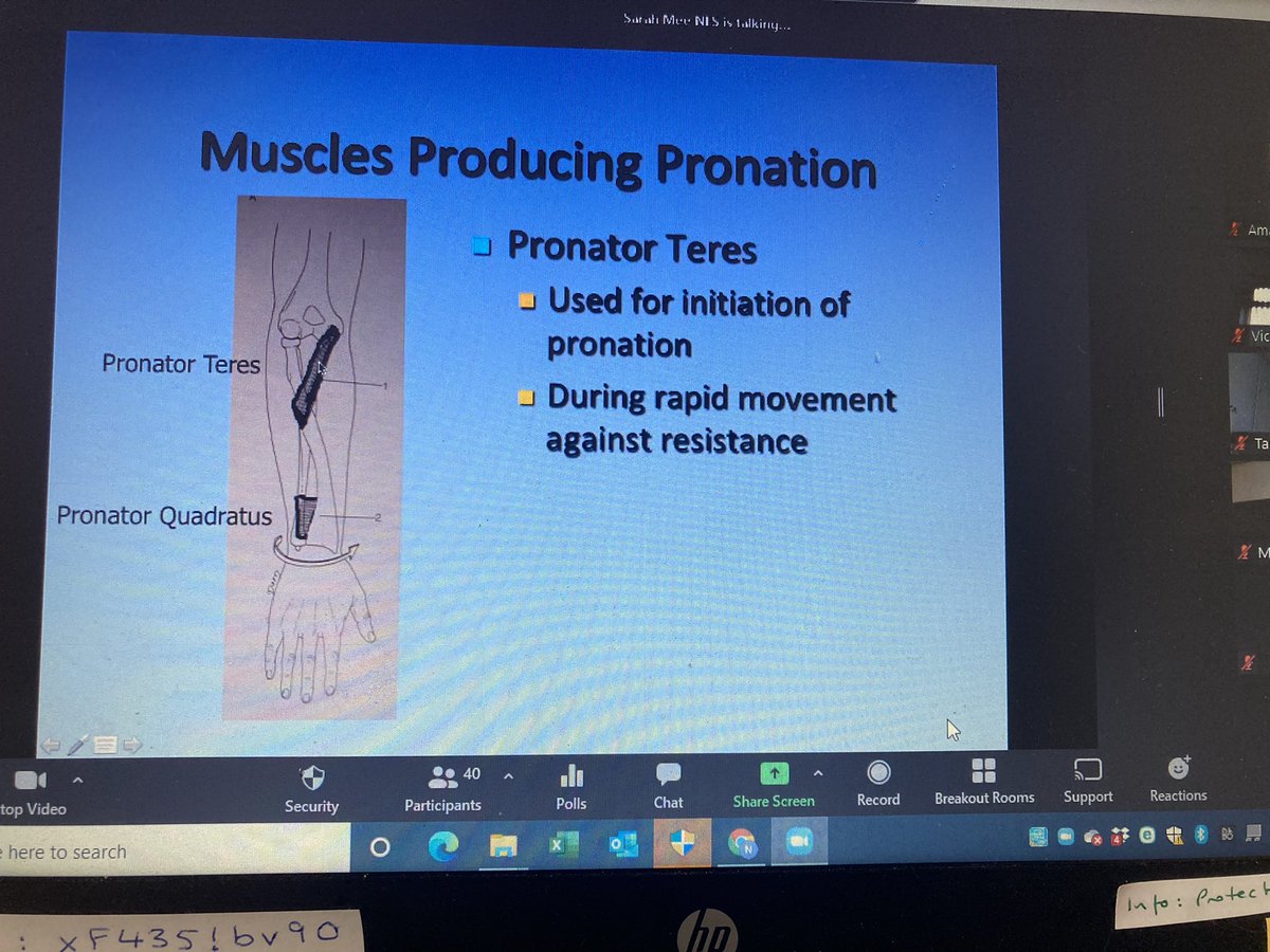 NESHands tweet media