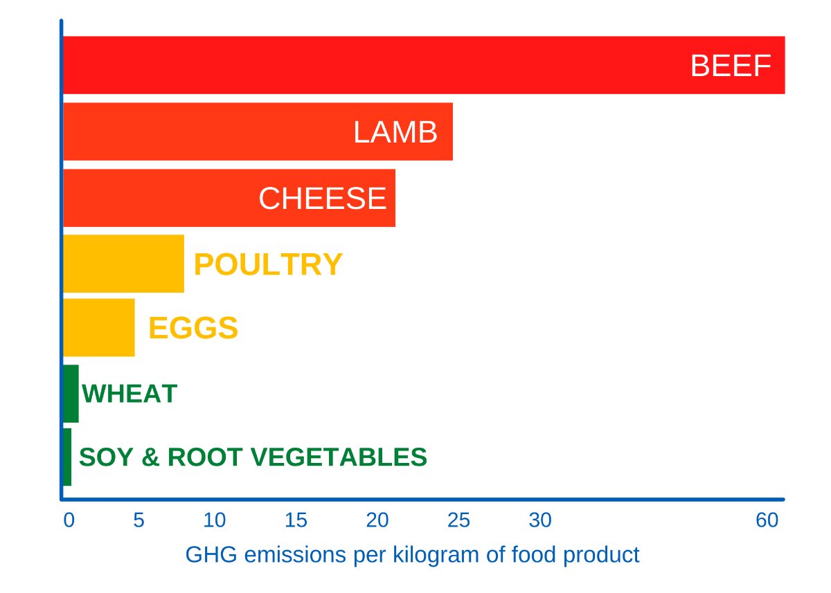 NBT Sustainable Development Unit tweet media