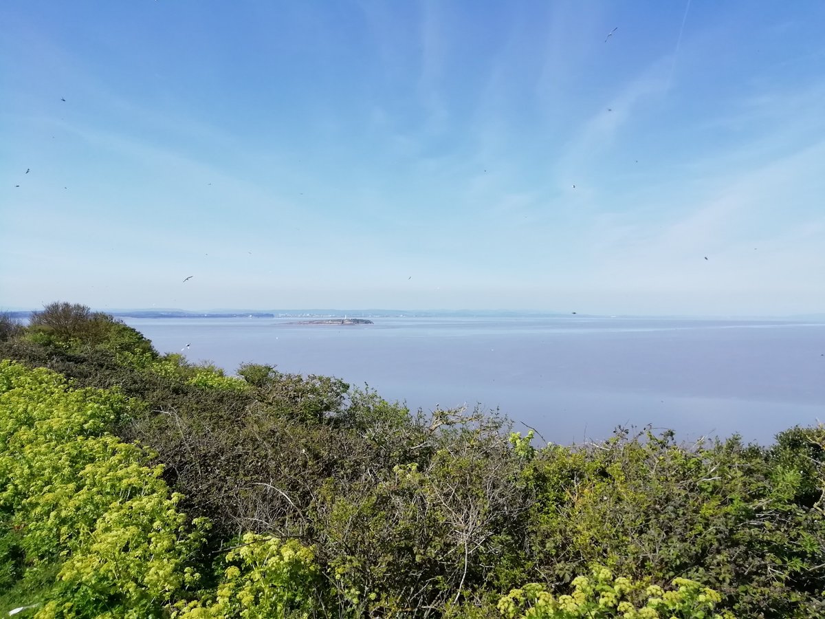 View from Steep Holm towards Flat Holm (© Thursa Lamoon, 2019) <a href="/Flatholmers/">Flat Holm Island</a>