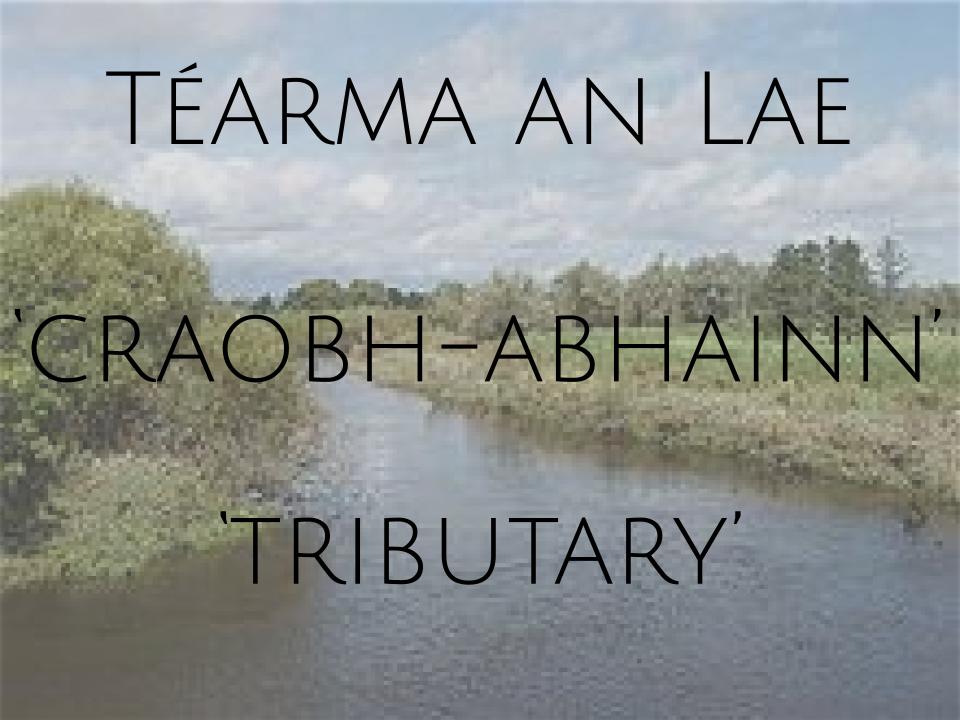 tearma_ie's tweet image. Téarma an lae ó tearma.ie #craobhabhainn #tributary #leChéile #téarmaanlae #termoftheday #téarmaíocht #terminology #téarma #term #teanga #language #gaeilge #irish
