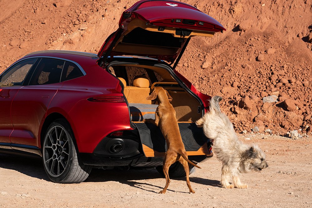 AstonBham's tweet photo. This #DBXDay we want to know what you love most about DBX? We'll start. Space for the whole family!  https://t.co/zhTOrVh2Qr https://t.co/5py3MIjo0g