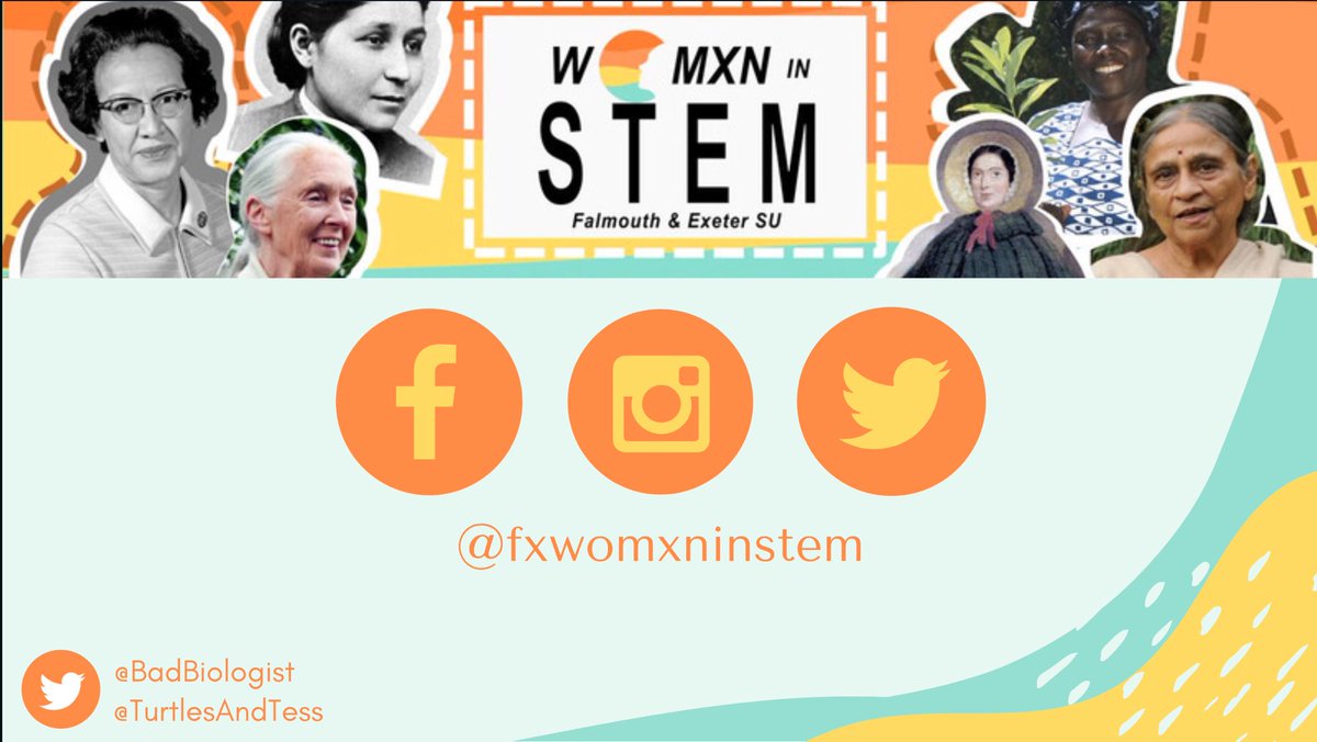 fxwomxninstem's tweet image. Join @BadBiologist &amp;amp; @TurtlesAndTess today at the @CLESCornwall @UoECornwallCZ Careers Fair! We’re here until 11 so come have a chat and ask us anything you want to know! 🐢🦈