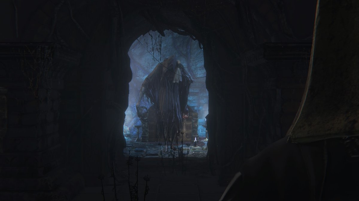 カリフラワー 今回の深トゥメは個人的に結構当たりだった 3層に穴掘り 天井蜘蛛 糸無し 穴堀りは低深度であれば ちょこちょこ会える感じしますね 2層ボス前脇道にいる人さらいもなんか素敵でした 聖杯文字 Pjpvcnat