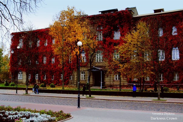 Университет янки купалы факультеты. Университет имени Янки Купалы Гродно. Корпус университета Янки Купалы Гродно. Гродненский государственный университет имени Янки Купалы здание. Гродненский государственный университет Янки Купалы осенью.