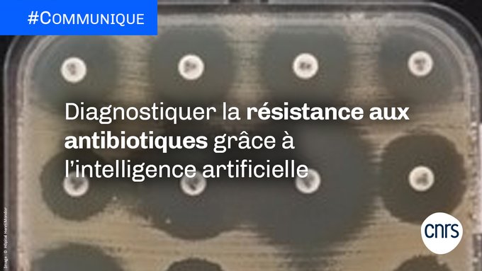 CNRSIdFSud's tweet photo. 📲Une application mobile capable de faciliter le diagnostic de l’antibiorésistance, enjeu majeur de santé publique🧫

Un projet collaboratif impliquant le laboratoire Génomique Métabolique et le Laboratoire de mathématiques et modélisation d'Évry #LaMME

▶️https://t.co/UjzgagVshP https://t.co/xR2CBh7UjY