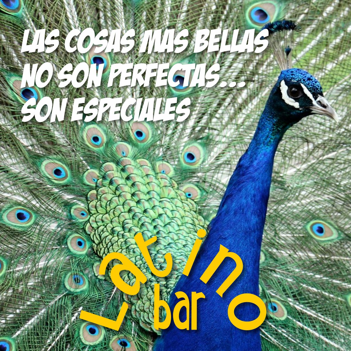 Esperamos que tu día no sea perfecto… sólo especial!
Pronto volveremos!
#LatinoBarLeon #Leonesp #carta #gastronomia #asador #lechazo #horno #parrilla #eco #lechazo #carnesrojas #parallevar #seguiremosadelante