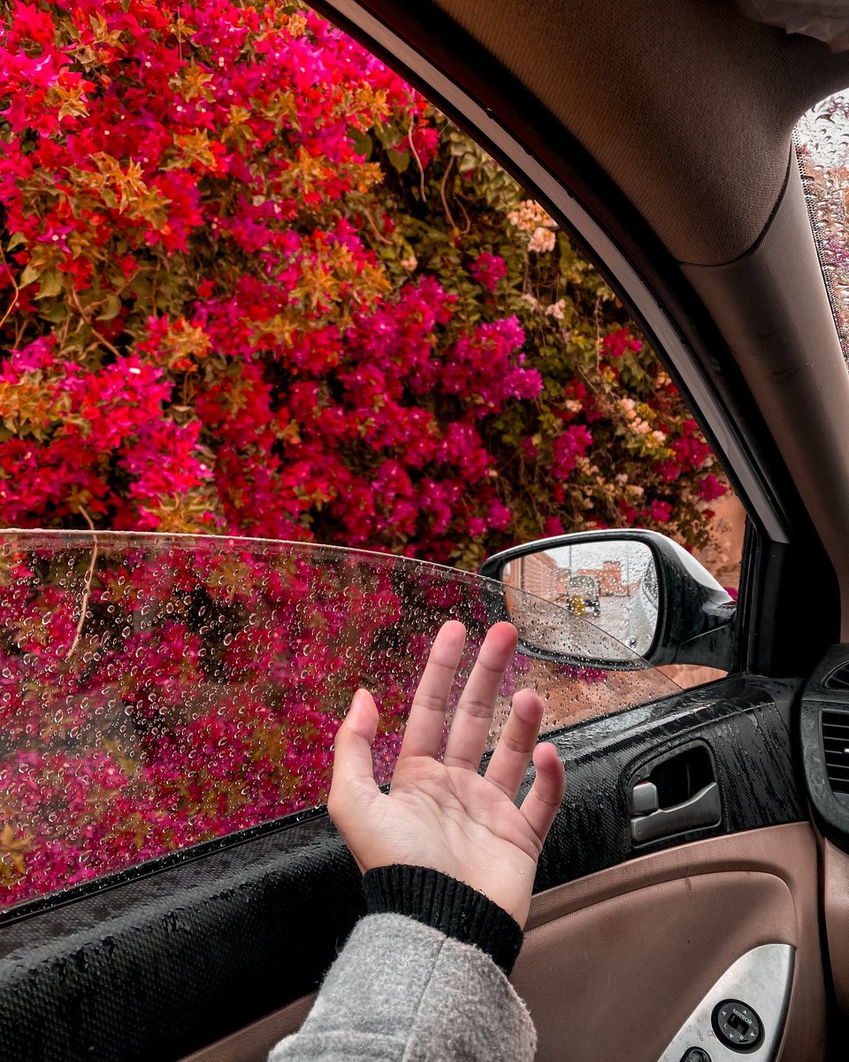 طلال ☕️ tweet media