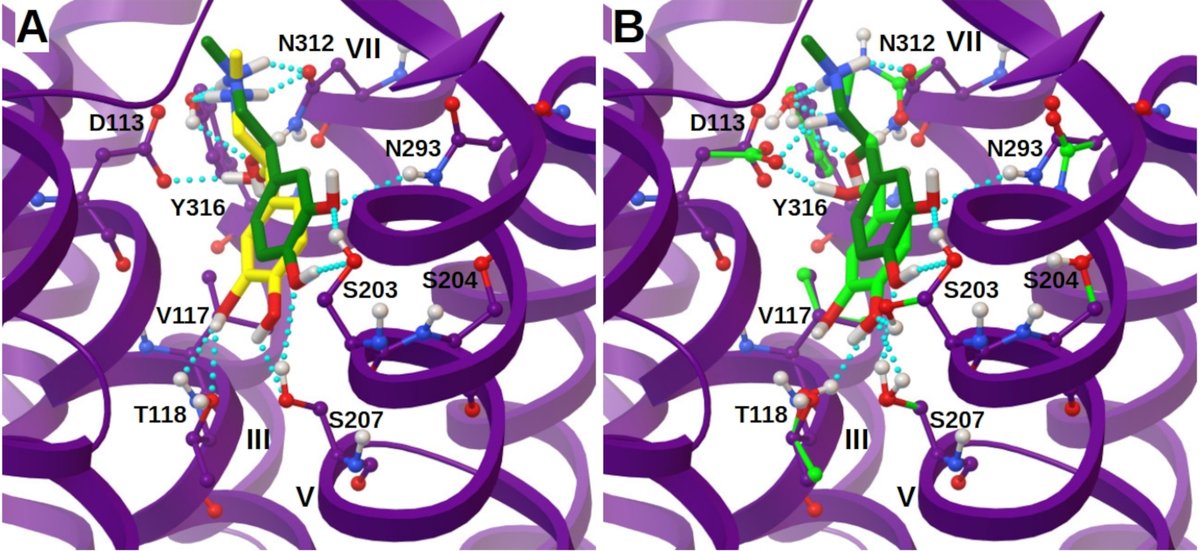 Andrea Catte tweet media