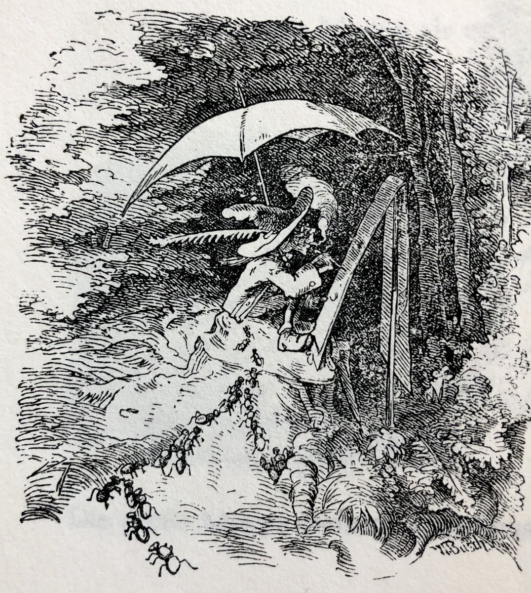 Wilhelm Busch 