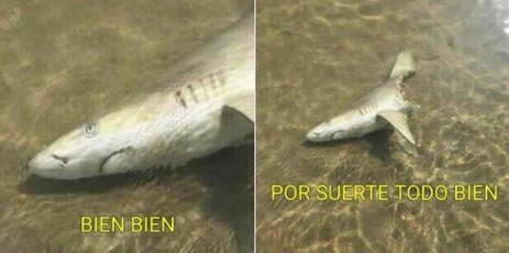 D(epressive episode)iego♿️ tweet media