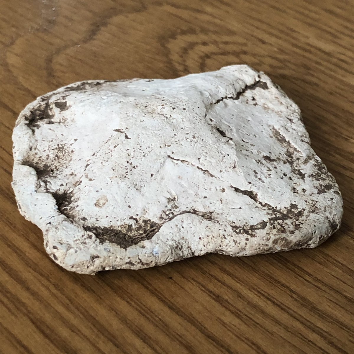 underthemudd's tweet photo. Not a visually beautiful find but still carries loads of history. over 500 years old , this is a medieval ( possibly older) trade weight. #metaldetecting #medieval #tradeweight #woolweight #leadweight #history https://t.co/6YyYOKHtEu