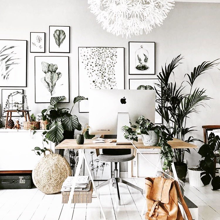 kdecorenov's tweet photo. Amidécos bonjour !
Pourquoi ne pas apporter la nature au boulot ? Choisissez un esprit jungle... parce qu’on travaille mieux dans un cadre...topissime 😊

#kdeco #decorationinterieur #architecture #decoration #homesweethome #homestaging #bureau #scandinavehome 
Source Pinterest https://t.co/FvLseTlAi5