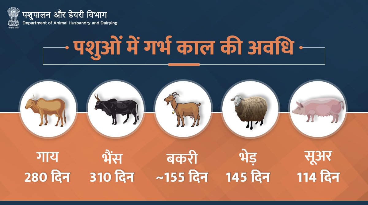 Dept of Animal Husbandry & Dairying, Min of FAH&D on Twitter: Dept of Animal Husbandry & Dairying, Min of FAH&D on Twitter: