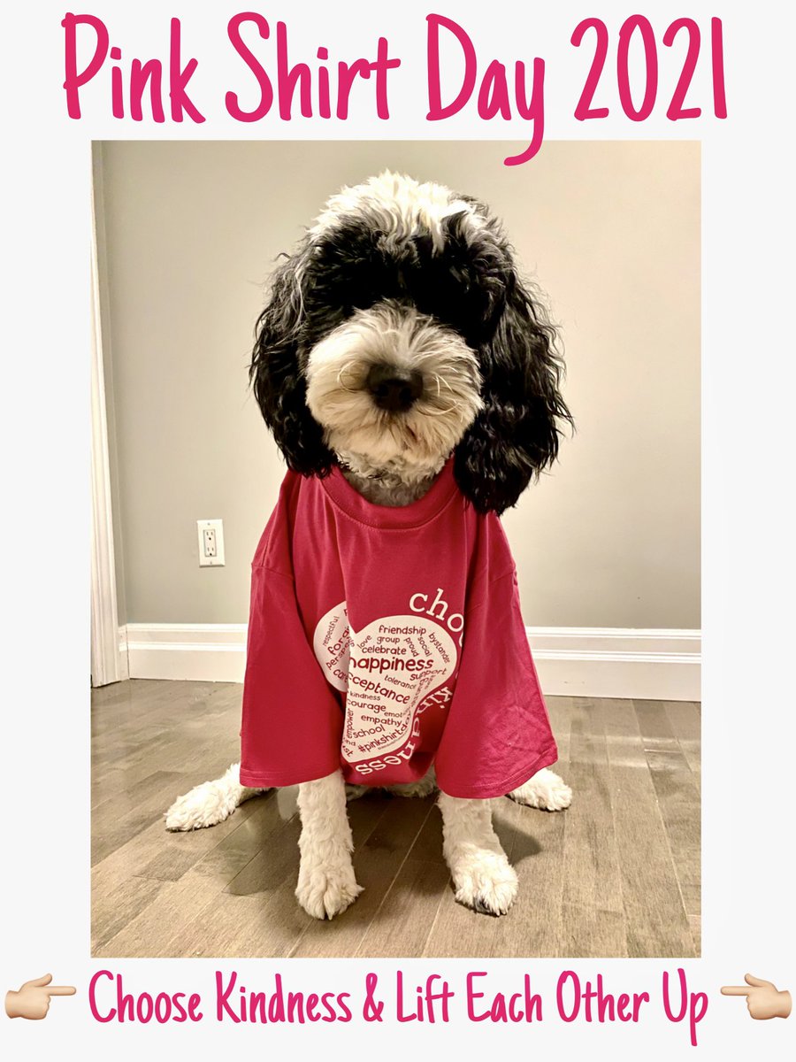 Today is #PinkShirtDay 👚!
This years slogan is #LiftEachOtherUp. Let’s do this today &amp; everyday of the week, it’s been a long year &amp; so many are struggling each day. Let’s #LiftEachOtherUp &amp; #BeKind to others &amp; most of all be kind to yourself! 💓
pinkshirtday.ca/about
🐾Stella