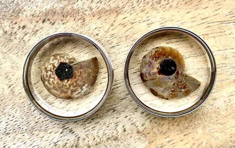 Michelle Clark tweet media