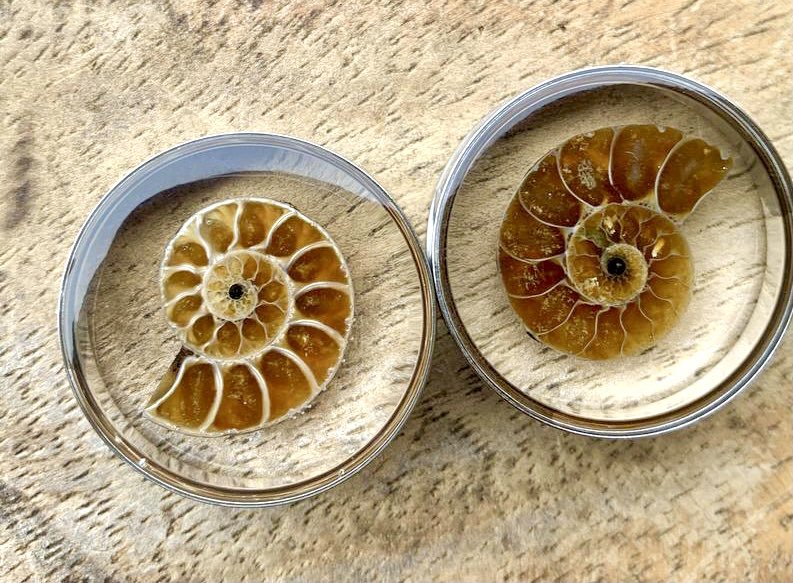 Michelle Clark tweet media