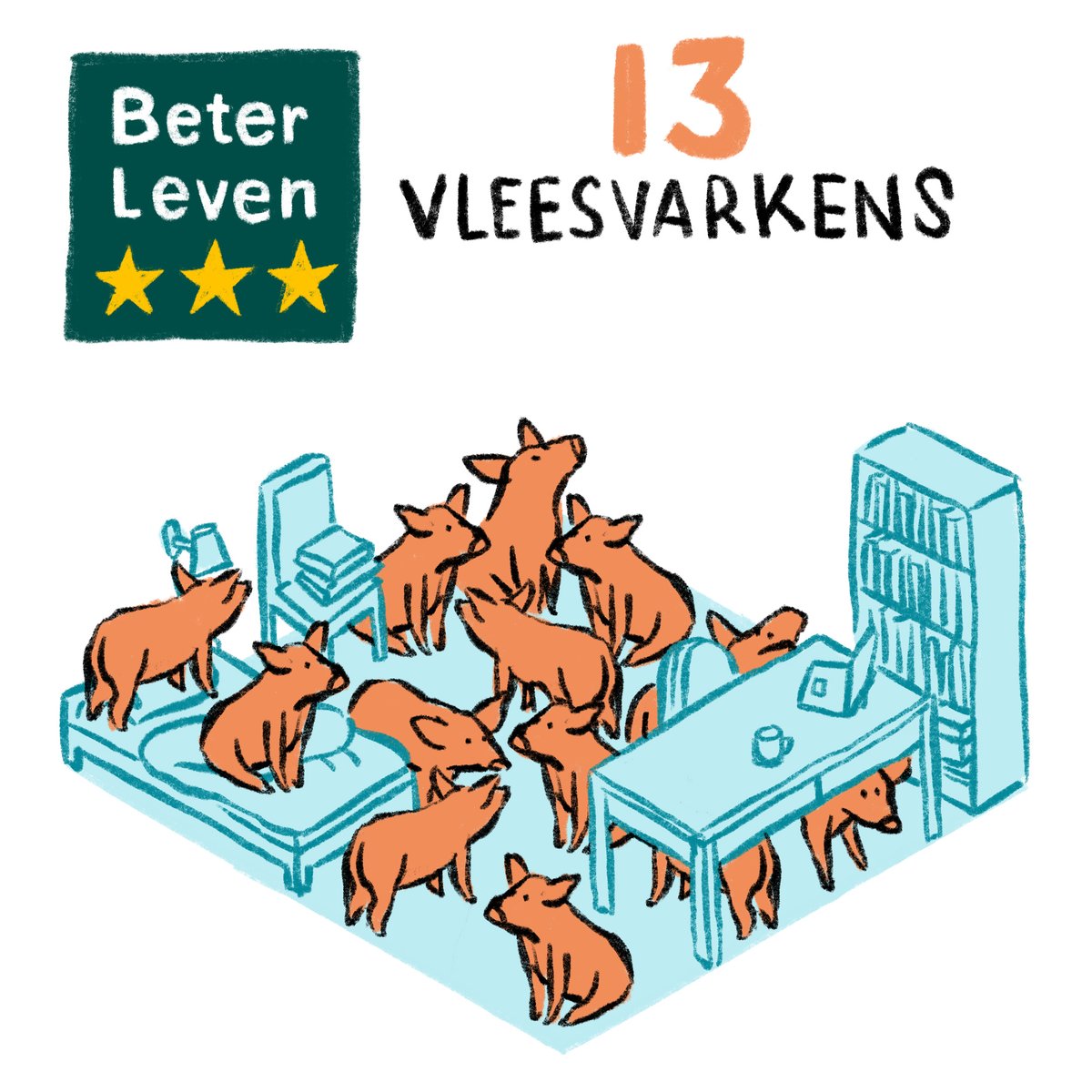 eringelding's tweet photo. Hoeveel vee past er op een studentenkamer? Mét beter-leven-sterren. De bio-industrie is een schande en veroorzaakt epidemieën. Stem 17 maart op een partij die 'm aan banden legt. https://t.co/DhEUpZLkNe