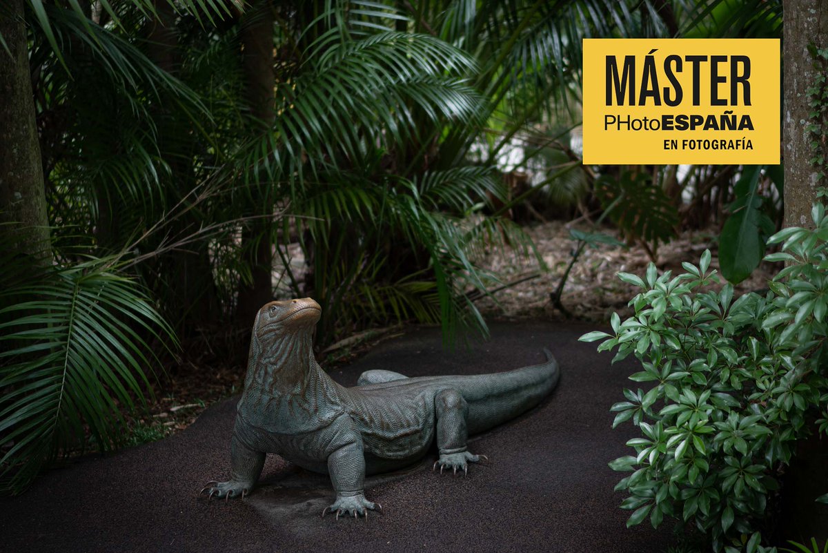 photoespana's tweet photo. ⏰ ¡ÚLTIMOS DÍAS! ¿Quieres estudiar #fotografía? Inscríbete en el #MasterPHE antes del 28 de febrero y consigue un 10% de descuento en tu matrícula.
Solicita información a través de nuestro formulario >>> https://t.co/fjNwjt11Sk
Imagen: Isabela Muci. Alumna Máster PHE 2021/22 https://t.co/9vmcfzaz7O