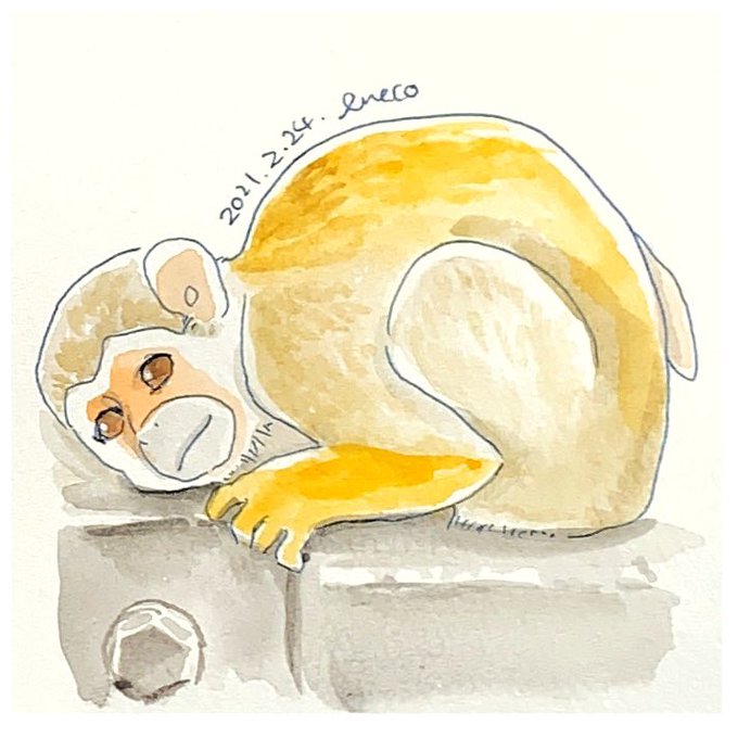 らくがきリハビリスケッチのtwitterイラスト検索結果