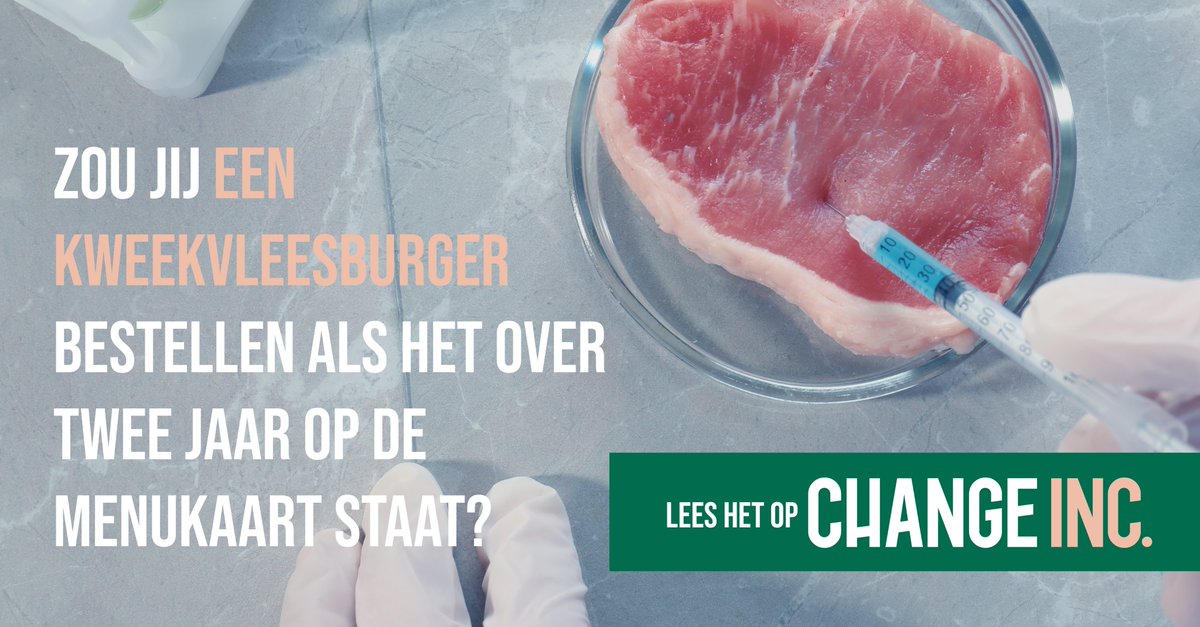 changeinctoday's tweet photo. Een miljoenen investering in het Maastrichtste Mosa Meat brengt realisatie een stap dichterbij. Benieuwd wanneer dit gekweekte vlees te vinden is in de supermarkt? Lees het op Change Inc. https://t.co/pBP6GVaOuz
#changeinc #mosameat #kweekvlees https://t.co/kIlgNcTGDR