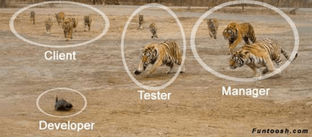 OLITTcom's tweet photo. #programming #programmingmemes #programminglife #linux #codingmemes #codinglife #programminghumor #computer #science #websitedesigner #webdev #devlife #fullstackdeveloper #websites #programminghumor #html5 #css3 #bootstrap #nodejs #linux #unix #linuxmemes #sudo #sudoer #reddit https://t.co/dpgGvrtFNK