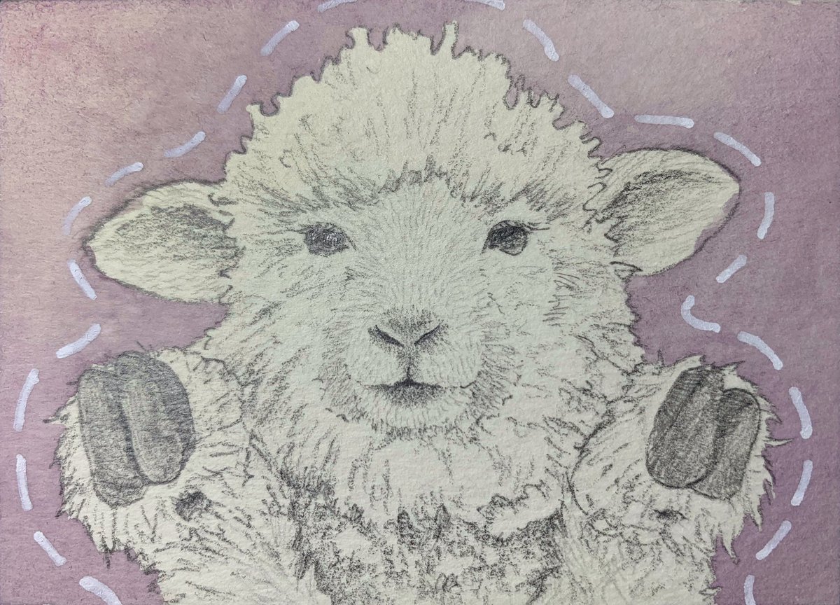 シャルル ド メリー Pa Twitter ドローイング アナログイラスト Atc ひつじ 羊 Sheep イラスト Illust 鉛筆画 ドローイング Drawing 絵 Art