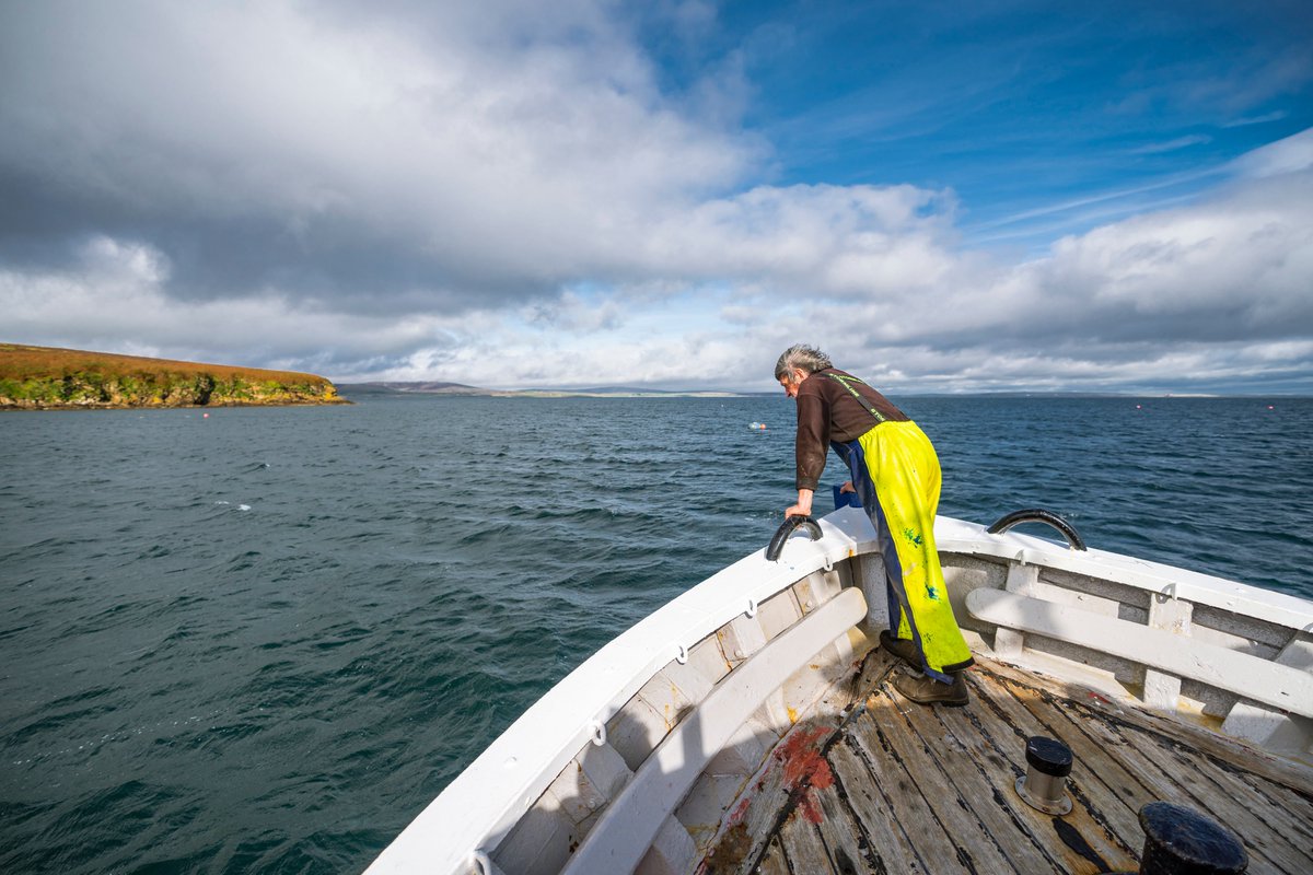 Salmon Scotland tweet media