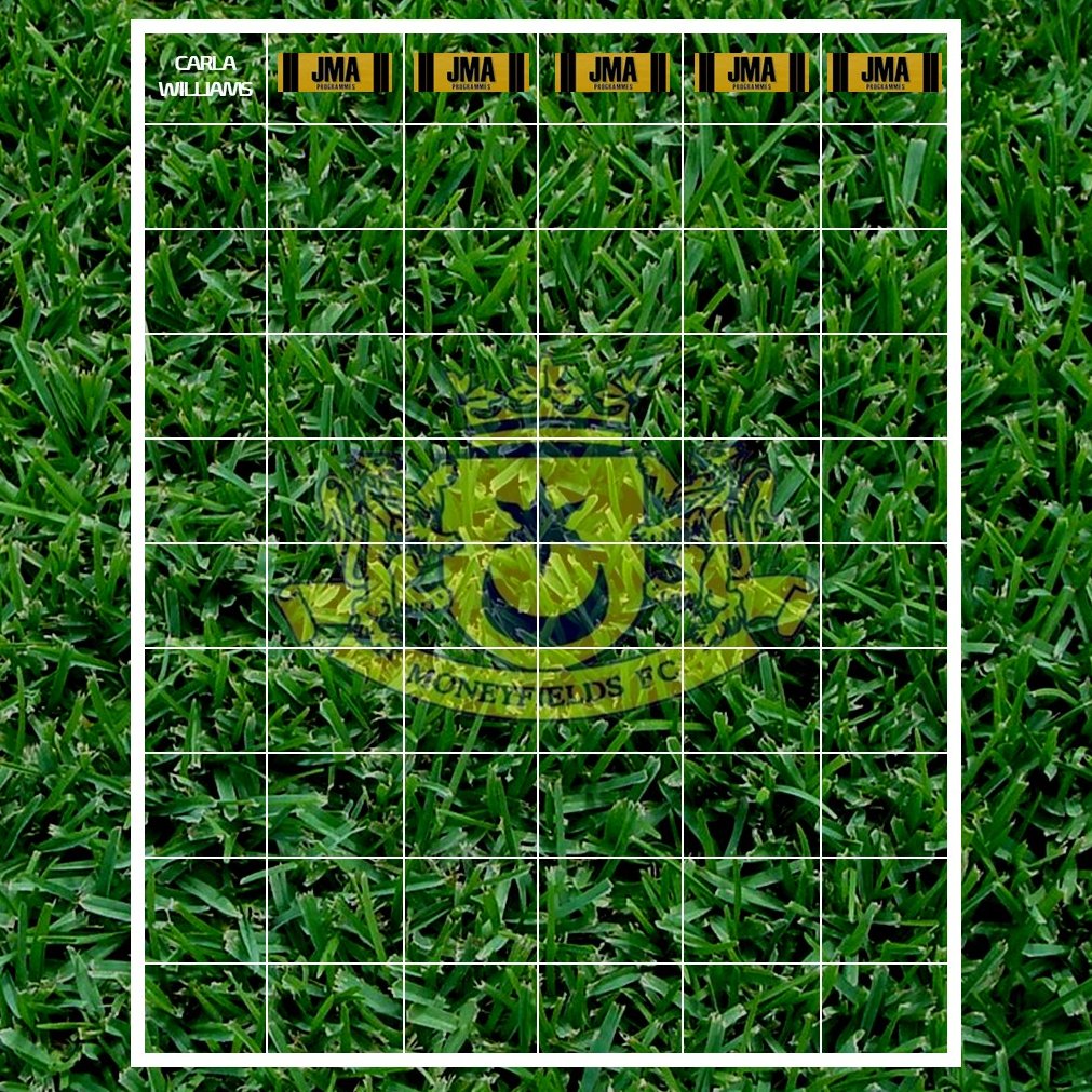 Pitch Square Sponsorship: For £10 per square you can have your name or company logo on our pitch squares page in the matchday programme. Each square bought will get you 1 ticket for our 4 prize draws during the season inc a cash prize in Dec. moneyfieldsfcsec@hotmail.com