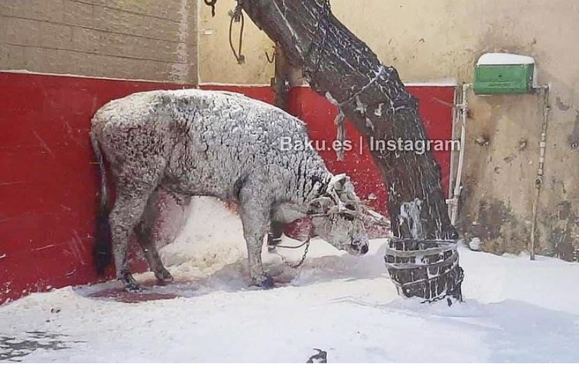 İnsanlığın öldüyü o an!😔