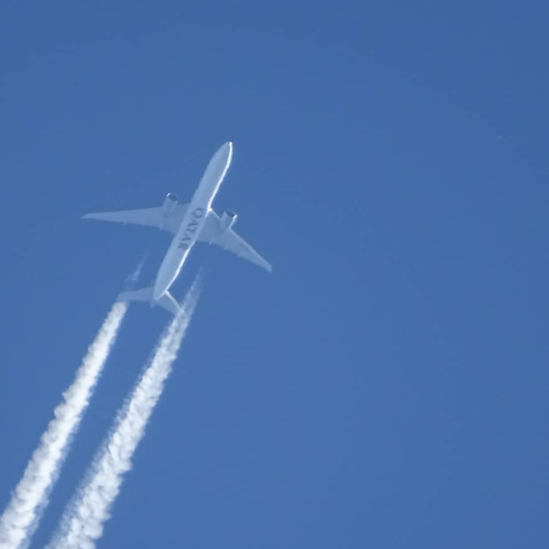 helenevdven's tweet photo. een vreemde vogel in de lucht..😉 https://t.co/eE2p8epznm
