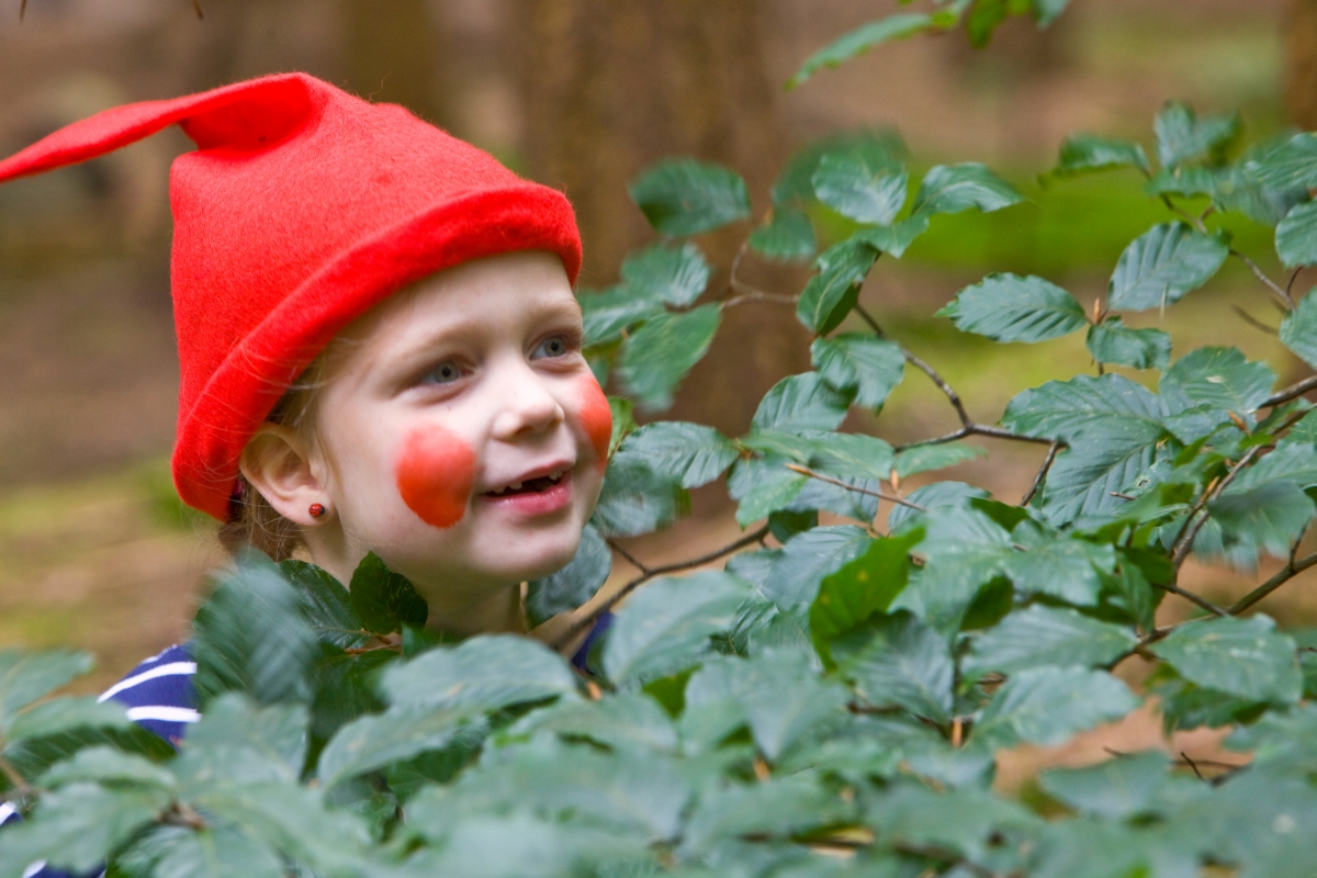 Vanaf vandaag kan het kabouterpad weer gelopen worden bij <a href="/NaarBuiten_DFW/">Buitencentrum DFW</a>! De spulletjes om de route te lopen zijn tijdens openingsuren te koop bij de Take Away balie van de Bosbrasserie en kosten €3,50 per persoon.