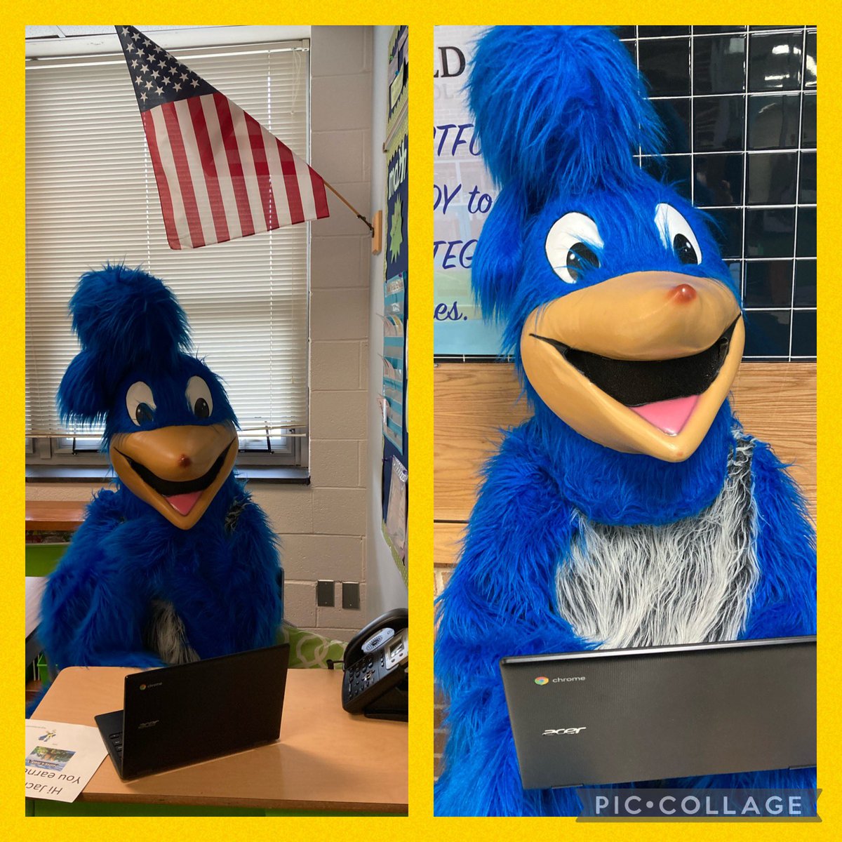 Northfield Es Hcpss Nes Twitter Northfield Es Hcpss Nes Twitter