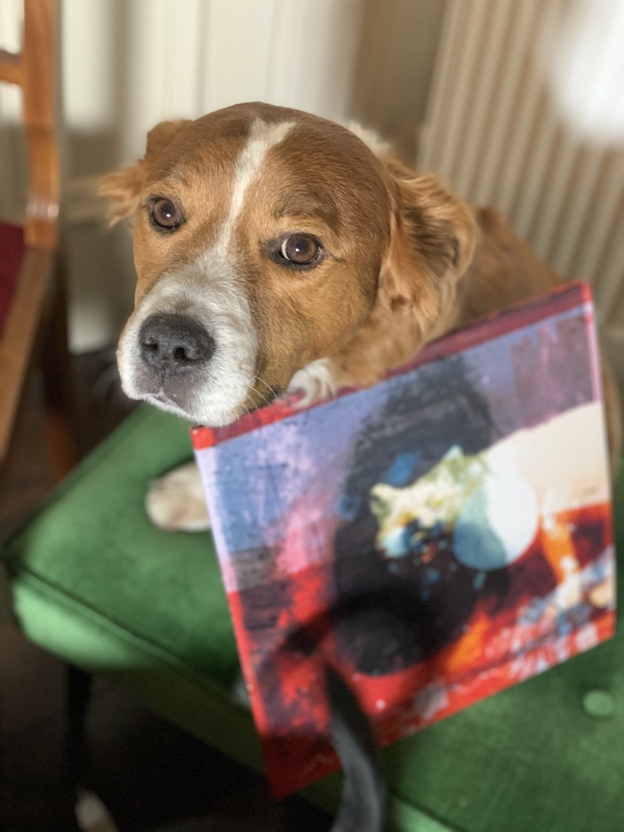 So we’re still number one in the charts which is amazing news. It looks like it’s going to be super tight though so PLEASE keep buying, downloading and streaming the record. Prince the dog will be SO HAPPY if we stay number 1.  ❤️🐶 #mogwai4number1