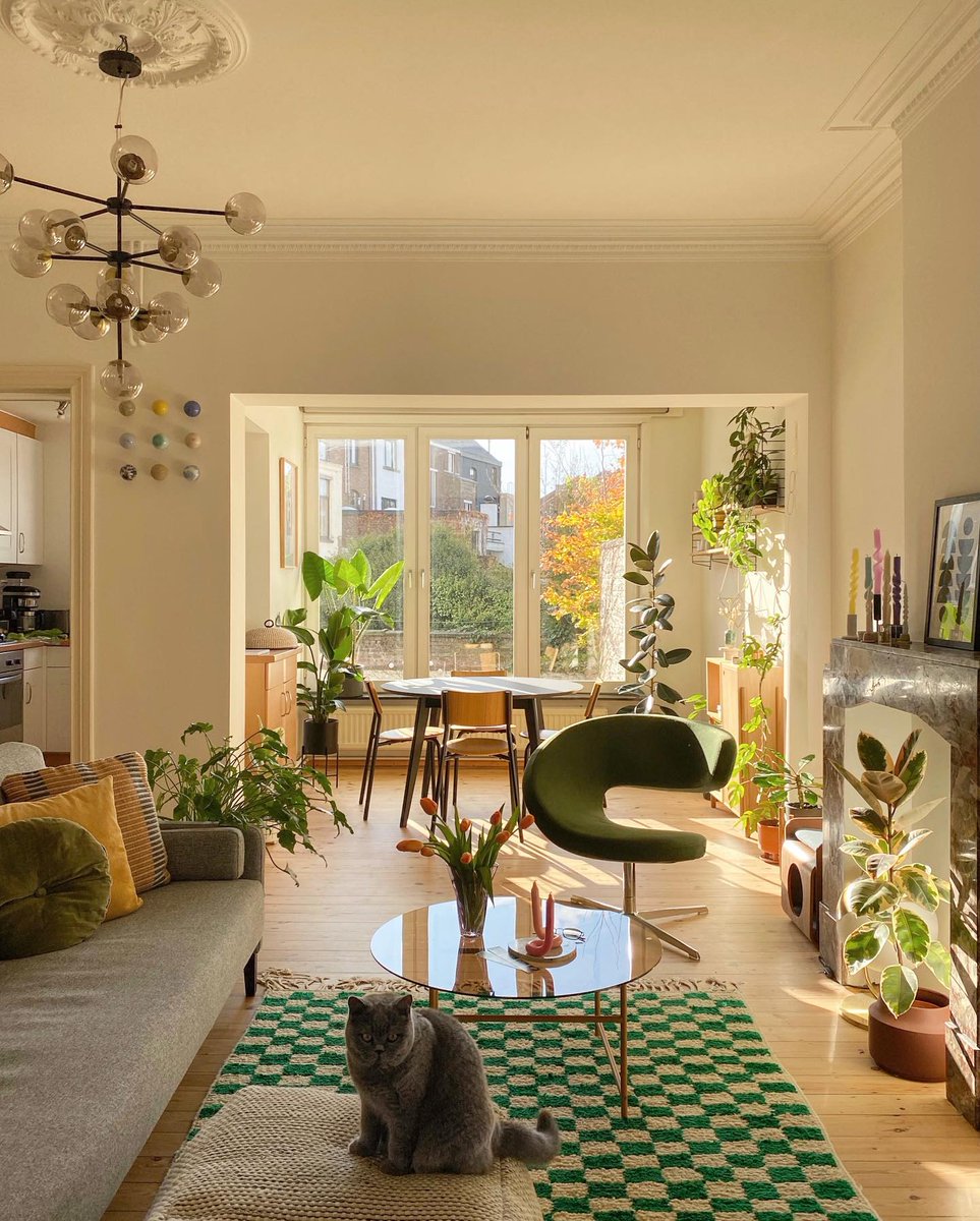 asolegrey's tweet photo. A bright sunlit room 💛🌿 https://t.co/zLuPpXEYFh