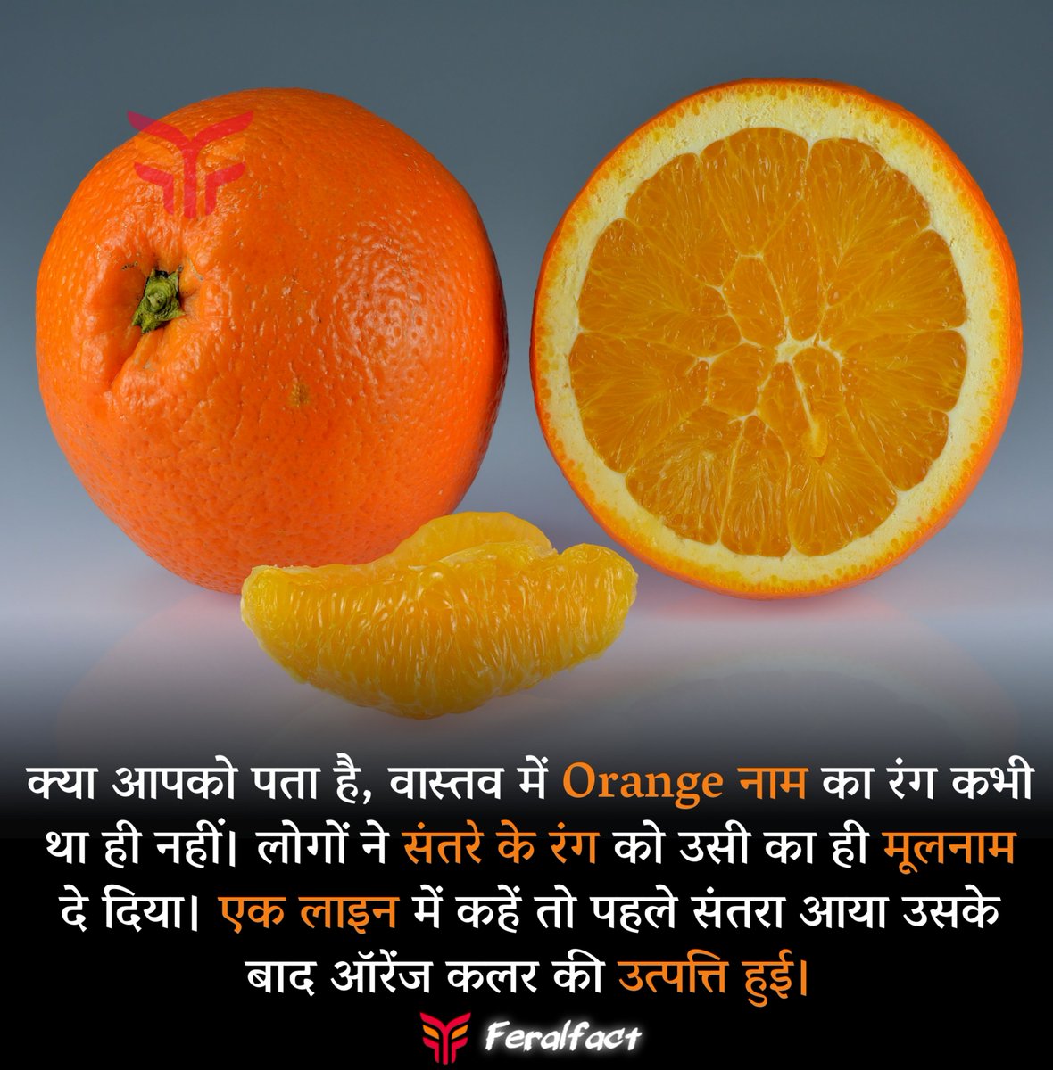 Feralfact's tweet photo. क्या आपको पता है, वास्तव में Orange नाम का रंग कभी था ही नहीं। लोगों ने संतरे के रंग को उसी का ही मूलनाम दे दिया। एक लाइन में कहें तो पहले संतरा आया उसके बाद ऑरेंज कलर की उत्पत्ति हुई।

"Follow Me For Amazing Facts"
#feralfact #facts #dailyquotes #orangecolor #Discovery https://t.co/ZK8EluptBq