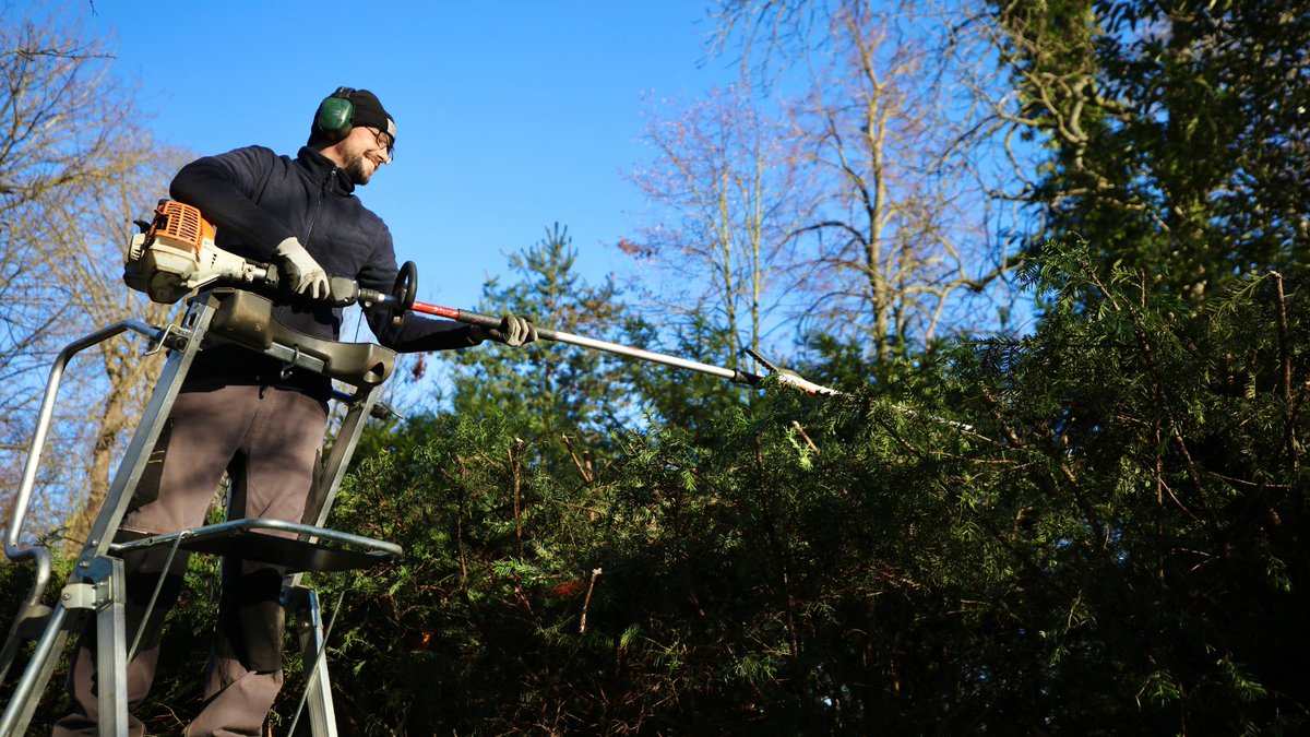 #Emploi Nous recherchons des personnes motivées en Parcours emploi compétences dans les espaces verts ! 
Avec <a href="/Les_Yvelines/">Les Yvelines</a>, nous formons chaque année en #PEC 100 salariés en #insertion pour l'entretien et la gestion des 2 800 hectares de sites naturels 🌿