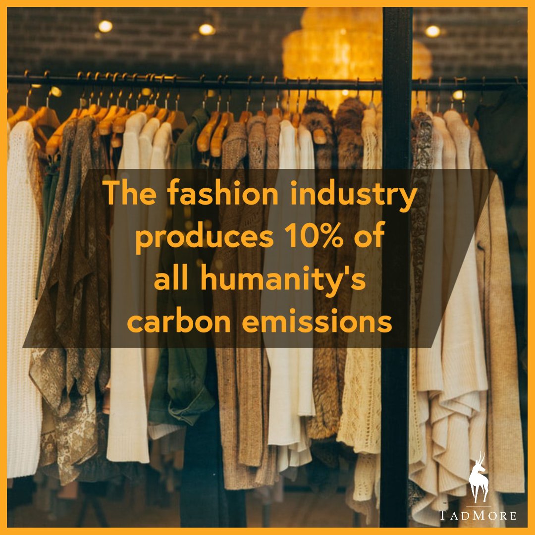 more_tad's tweet photo. Reduce your carbon foot print and your credit card bill. Buy well made clothing that will last for years to come.
#carbonfootprint #tmtailor #carbonemissions #fastfashion #fashion #liveethically #capsulecloset #qualityclothing #reduce #reuse #upcycle https://t.co/a2ryl5smWh