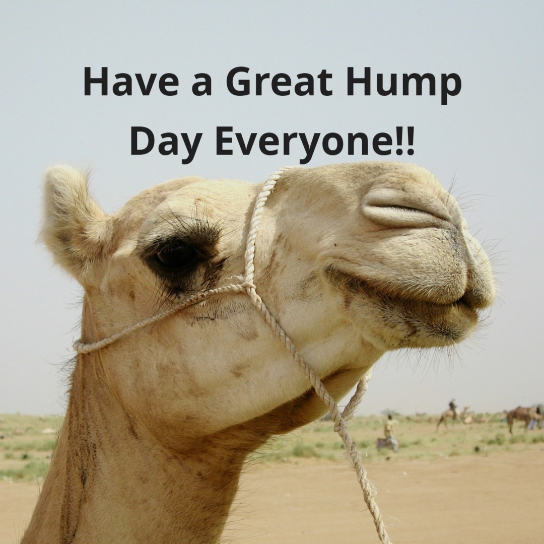 #SRES #Plant2021 #humpday #canola #Wednesday