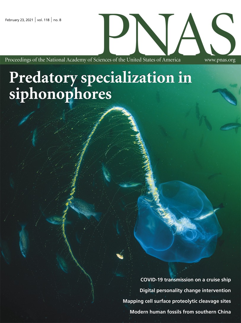 planktomancer's tweet image. Predatory specialization has been considered an evolutionary dead end. But we found that #siphonophore specialists can evolve into generalists, and into specialists on other prey. In @PNASnews with @caseywdunn @beroe #SiphWeb Cover photo by @underwaterpat pnas.org/content/118/8/…