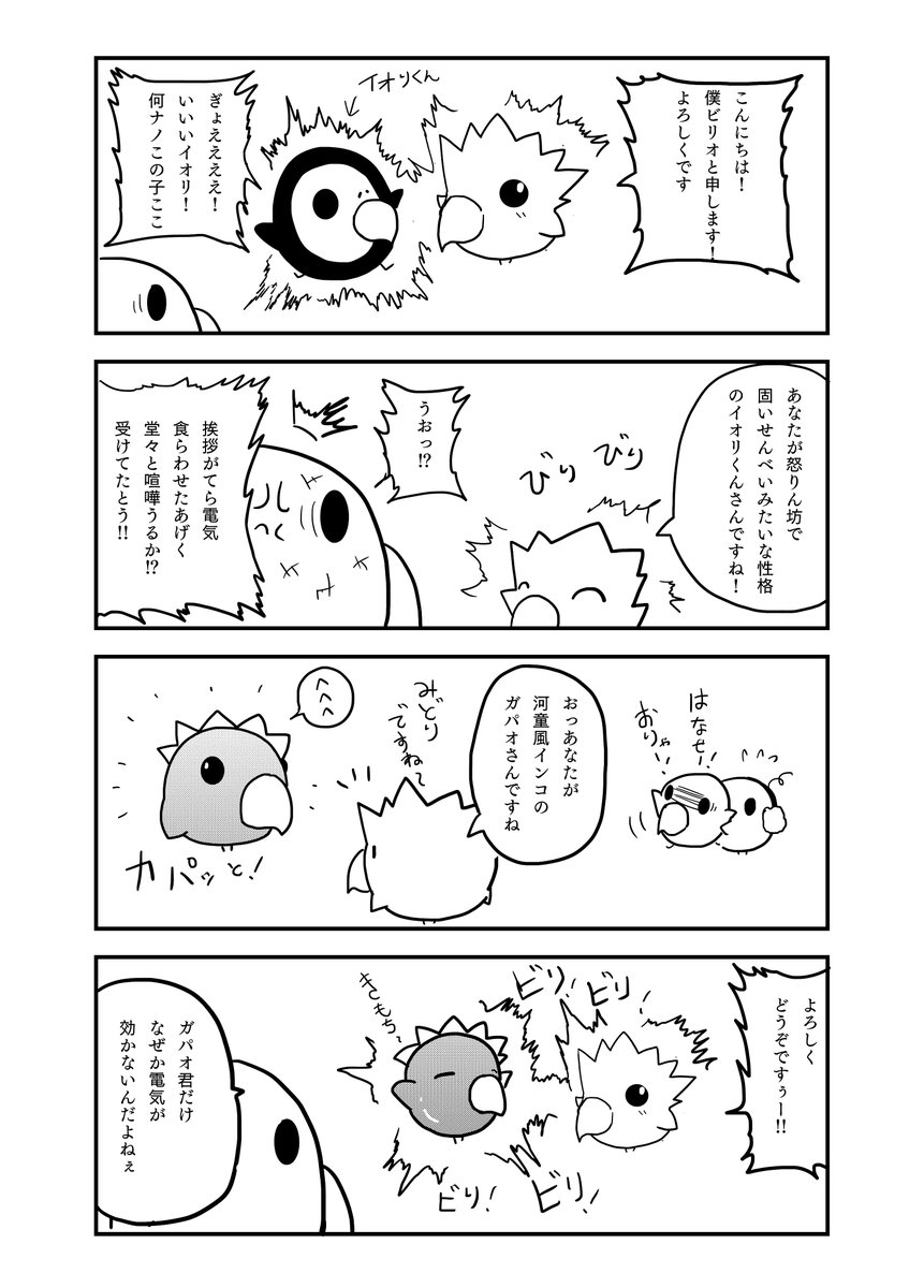 『とあるインコの日々』 7話 

#インコ #4コマ漫画 #漫画が読めるハッシュタグ 
#創作漫画 