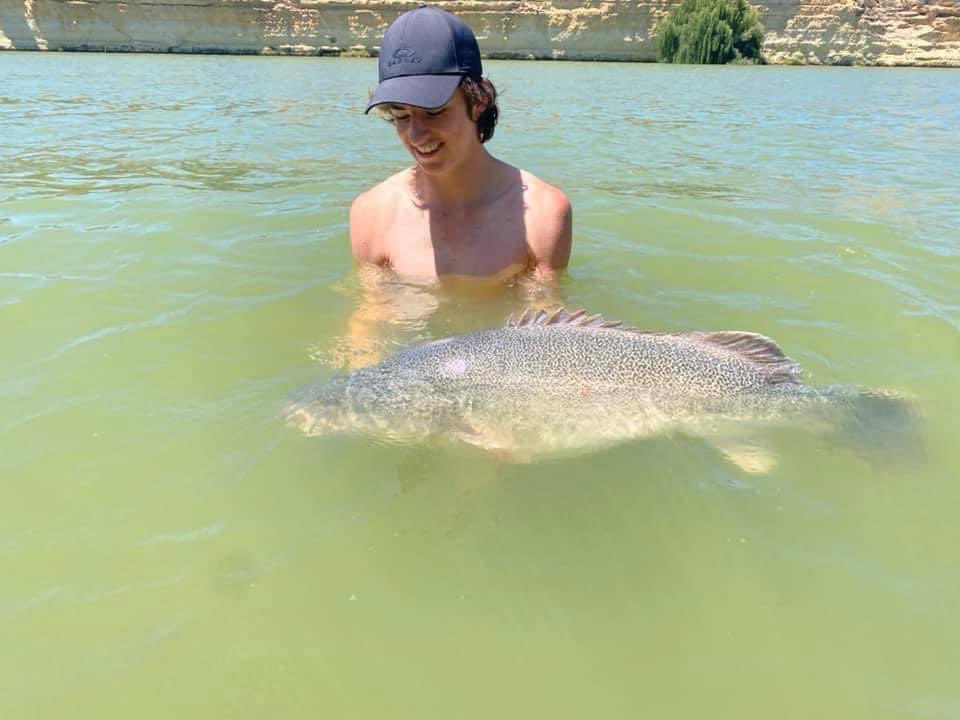 TotalNativeDVD's tweet photo. His good is this! 
Shay Linke finally got his first metery...and it came from the beautiful emerald waters of the Murray in South Australia ✅

💚#MurrayCodFishing https://t.co/7qoqe7ugSX